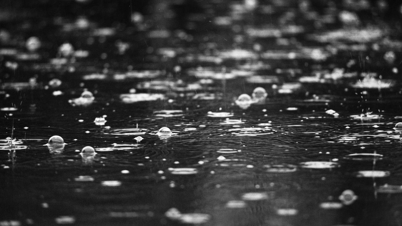 Todos os distritos de Portugal continental sob aviso amarelo por causa da chuva