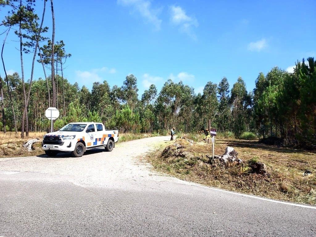 CMA intervém em 78 quilómetros da rede viária florestal para prevenir incêndios rurais